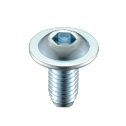 Flange Button Bolt CSHBTTF-STN-D10-20