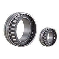 Self-Aligning Roller Bearing (Double Row) 23134EAD1