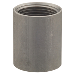 Stainless Steel Socket (Straight Screw) SFS2 Type