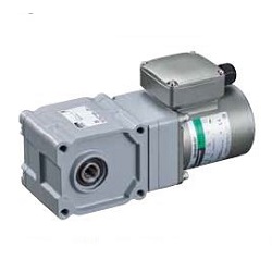 AC Motor, KIIS Series