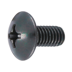 Cross Recessed Truss Screw CSPTRT-BRN-M5-30