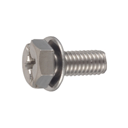 Number Plate Screw With Cross-Head / Straight-Slot Combo Drive Trim Head P = 1 (JIS W Captive)