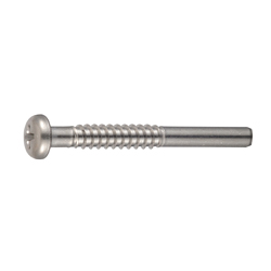 Cross Recessed Pan Head Tapping Screw, Type 2 with Guide/Neck BNRP Shape, G=20