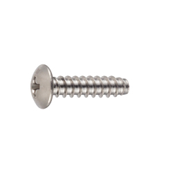 Cross Recessed Small Head Truss Tapping Screw, Type 2 B-0 Shape