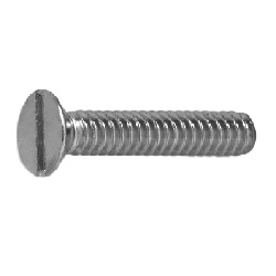 Whitworth Slotted Flat Screw