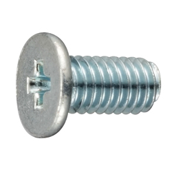 Extra-Low Phillips Head Screw (AHN)