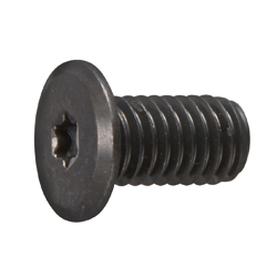 TRX Slim Head Screw