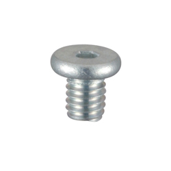 Thin Head (FH Type) Small Screw