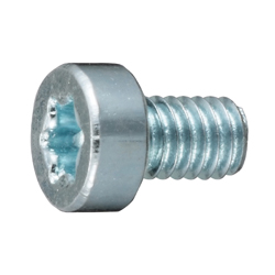 Low Head Screw with TORX Hole