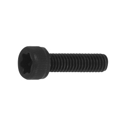 TORX Bored Bolt (TORX cap) Nissan-Made Screw