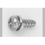 Tap-Tight B Type Pan Screw P=2 (SW)