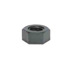 Hex Nut RENY