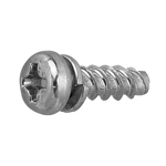 Tap-Tight P Type Pan Screw P=2 (SW)