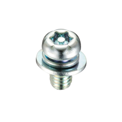 Tamper-proof ScrewPin/Pan 6 Lobe Screw Flat W + SW Embedded