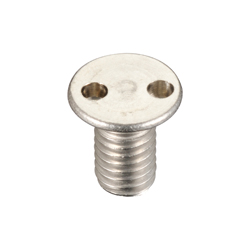 screw head with two holes