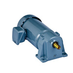 SG-P1 Single Phase Gear Motor