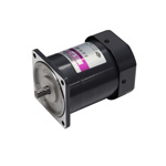 Induction Motor 60W [S9I60]