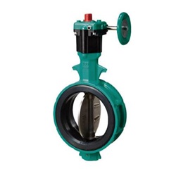 Butterfly Valve, 700Z, Worm Gear