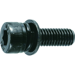 Hex Socket Head Embedded Screw