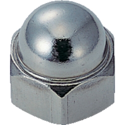 Cap nut (stainless steel)