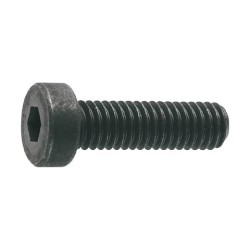 Black Hex Low Head Screw - Fully Threaded