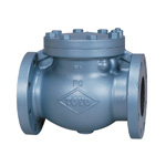 JIS 10K Type - Cast Iron F Type Swing Check Valve (JIS B 2031)