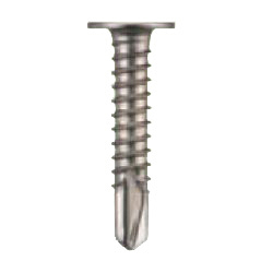 Stainless Steel SUS410 Disk Head Screw