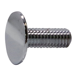 Low-Profile Head Decorating Screw