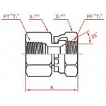 PT Connection PF30° FCS Female Swivel Connector