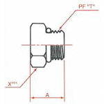 PT Connection JIS"O" Ring Boss, O-Ring Boss Blind Plug