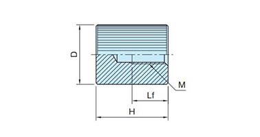 LKN-SUS tapped outline drawing