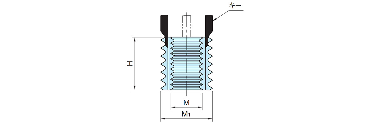 Keylocking Inserts (KIC): Related image