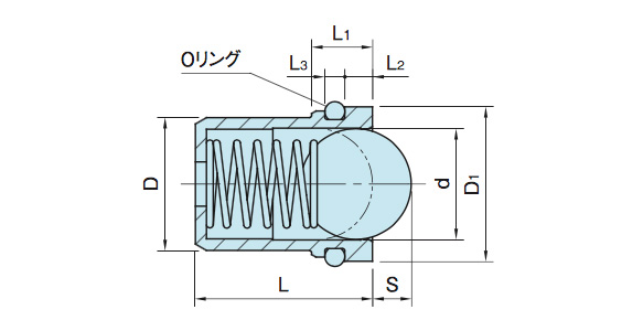 Stainless Steel Case Plunger With O-Ring (SBPR): related image