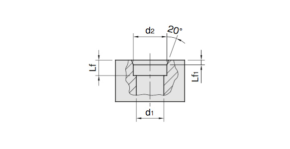 Stainless Steel Case Plunger With O-Ring (SBPR): related image