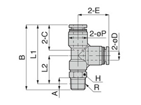 Appearance of PD (inch size)