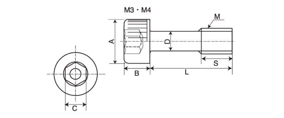 Stainless Steel Bolt with Hex Socket (Loss Prevention Screw) 