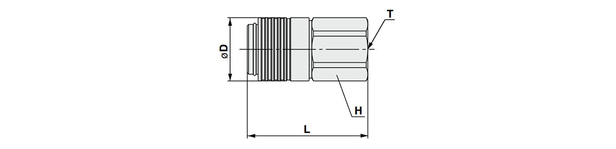 With check valve, female thread type dimensional drawing