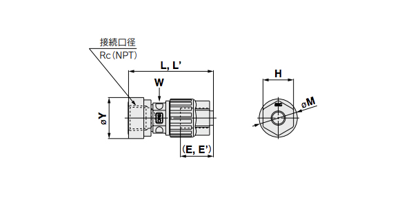 Female Connector Metric Size dimensional drawing 