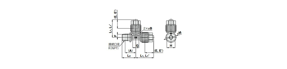 Male Run Tee: LQ3R-M Outline Drawing 