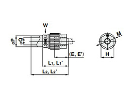 Straight Adapter Metric Size Dimensional Drawing 