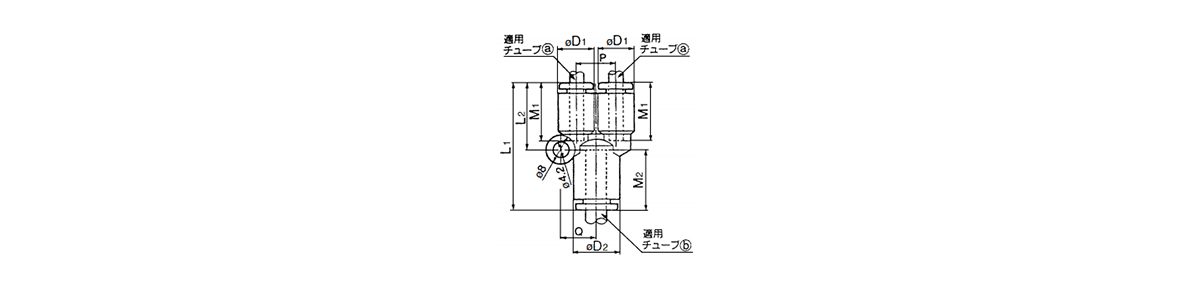 Different-Diameter Union 