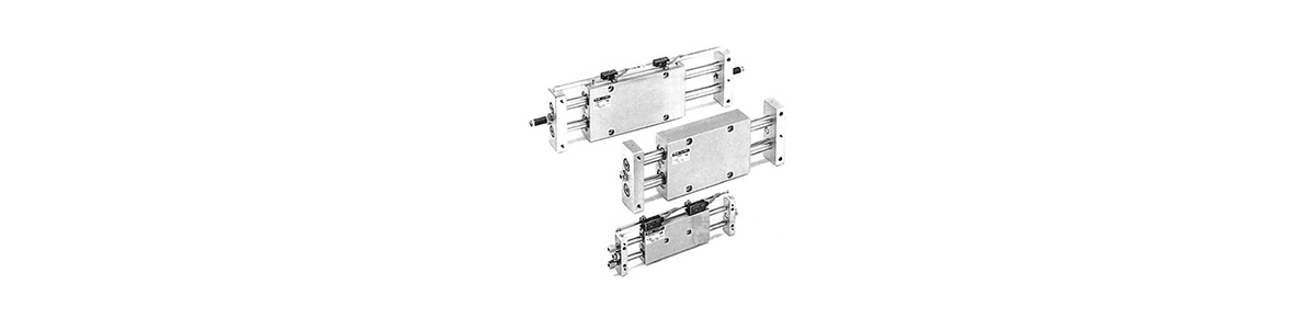 Slide Unit, Double-Rod Type, Slide Bearing CX2 Series product image