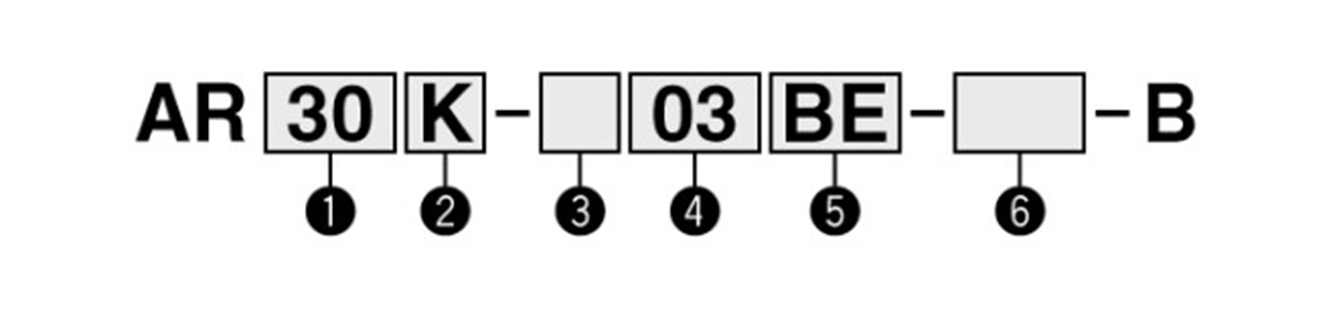 Model number example