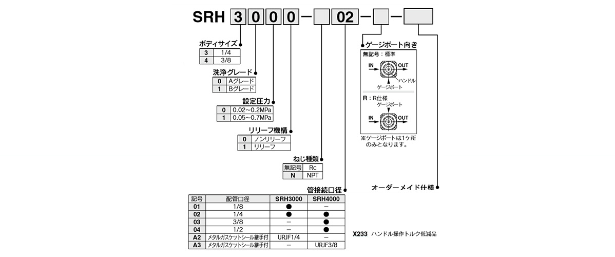 Model number example