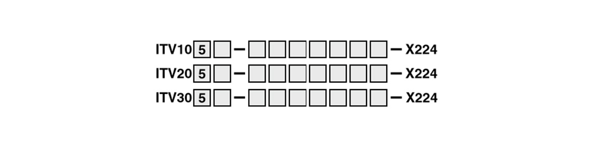 Made-to-order specifications X224: model number example