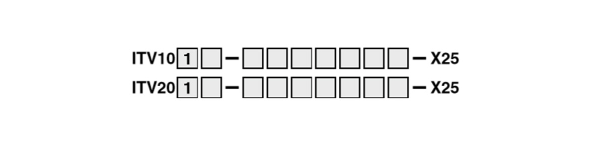 Made-to-order specifications X25: model number example