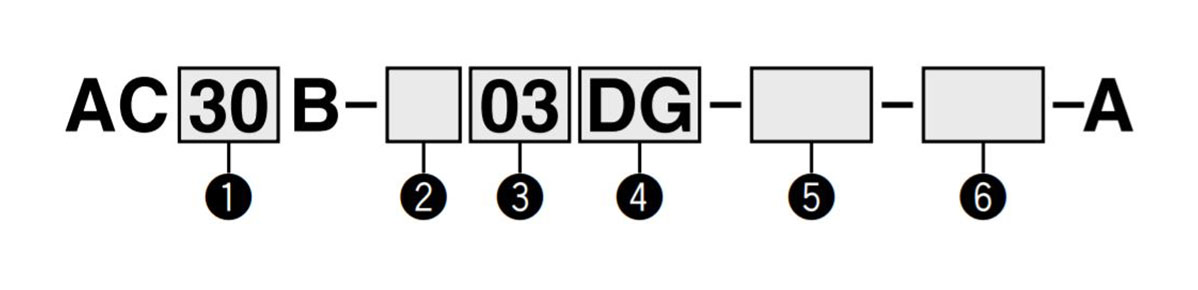 Model number example