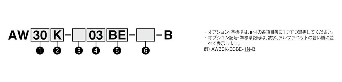 Model number example