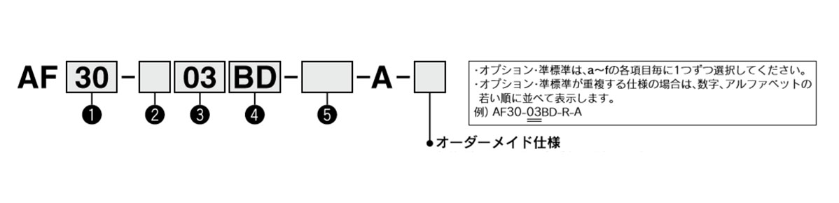 Model number example