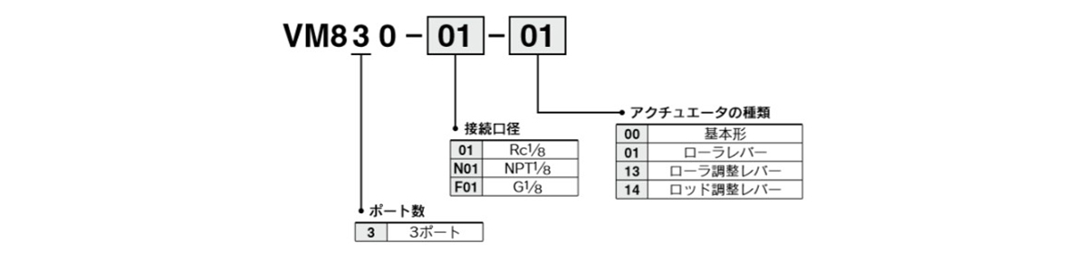 Model number example